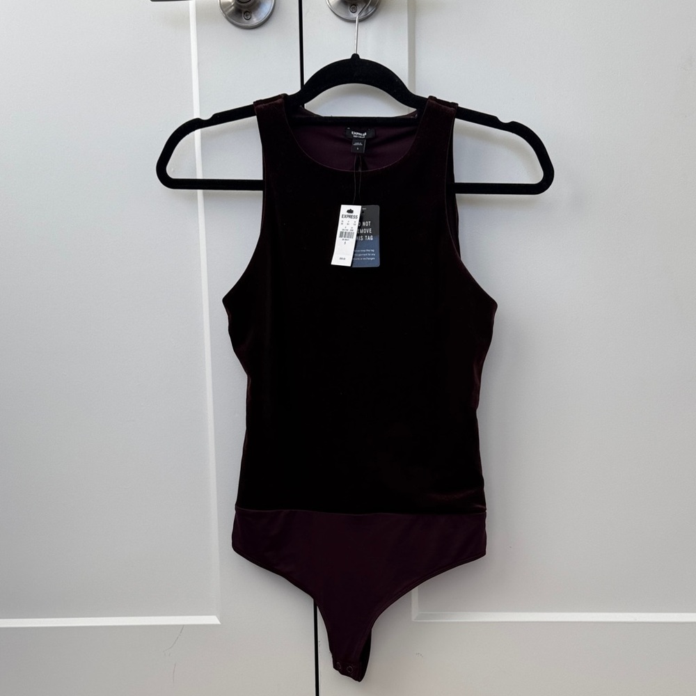 Express Dark Brown Velvet Bodysuit